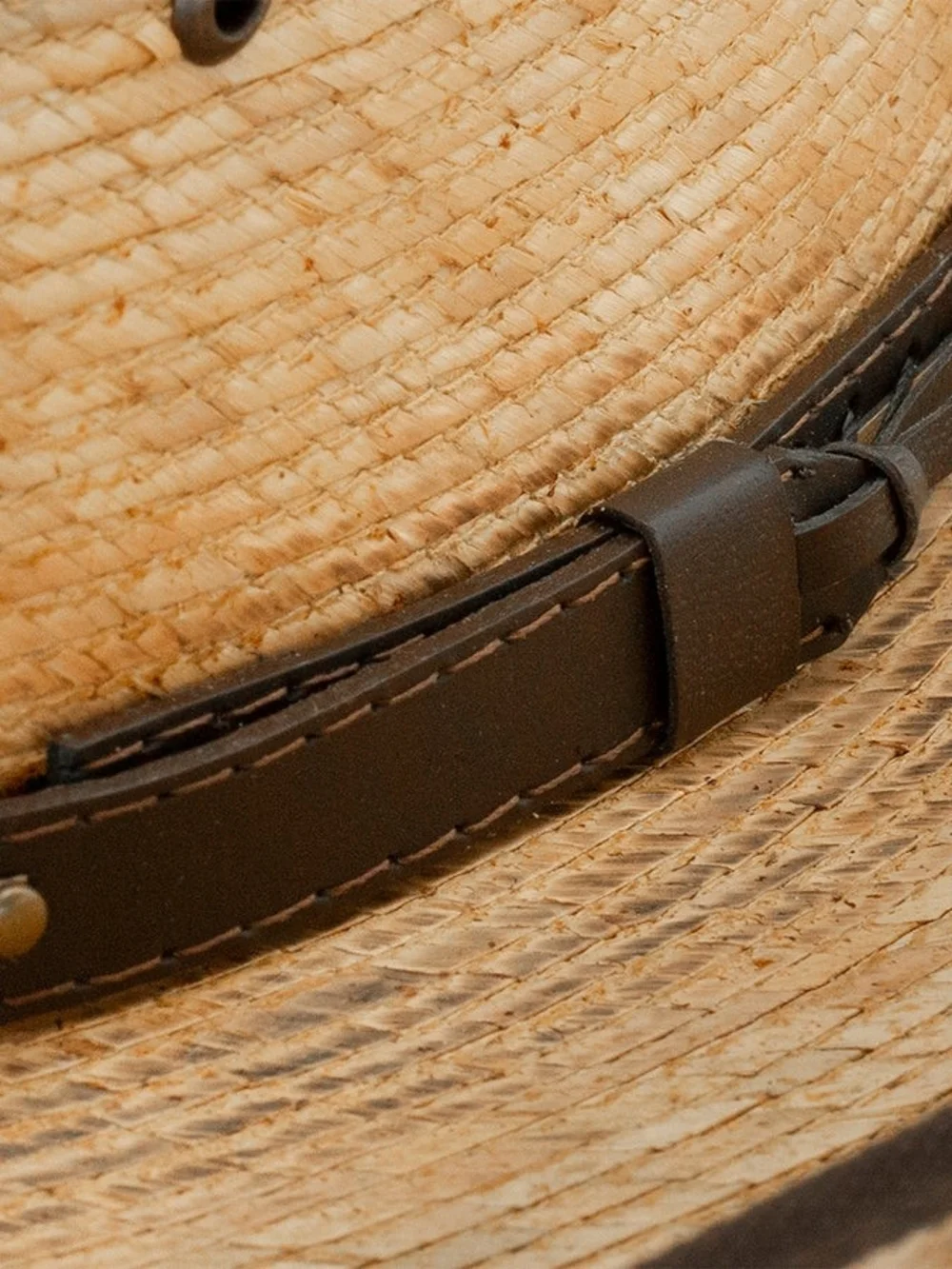 Jason Aldean palm hat
